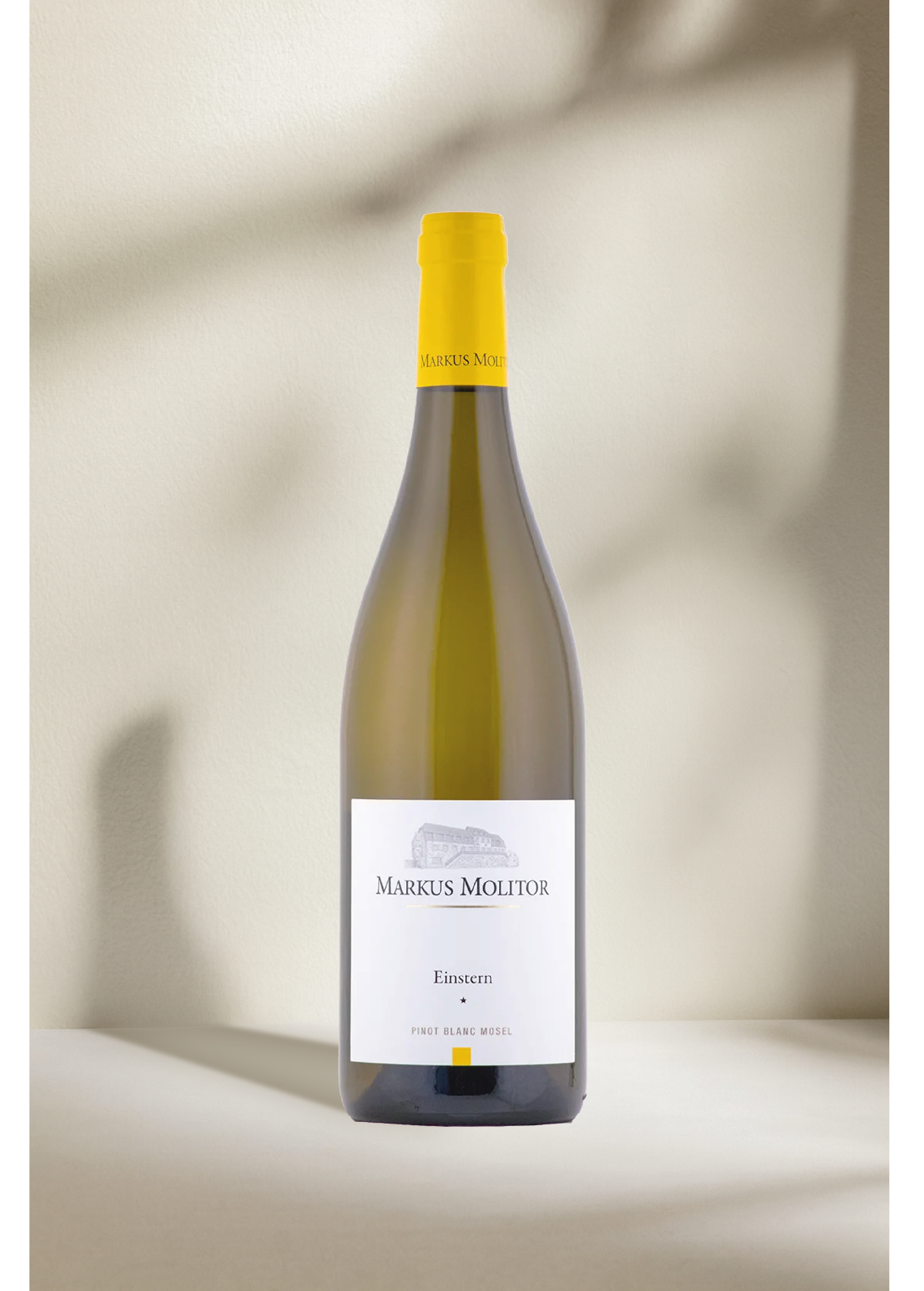 Markus Molitor Pinot Blanc Einstern* 2022